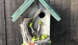 The Parable which is Gary’s Bird Box